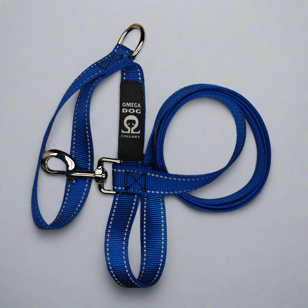 6 foot Leash