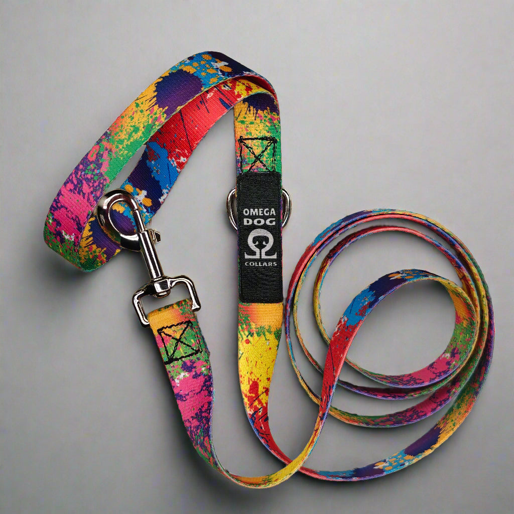 6 foot Leash