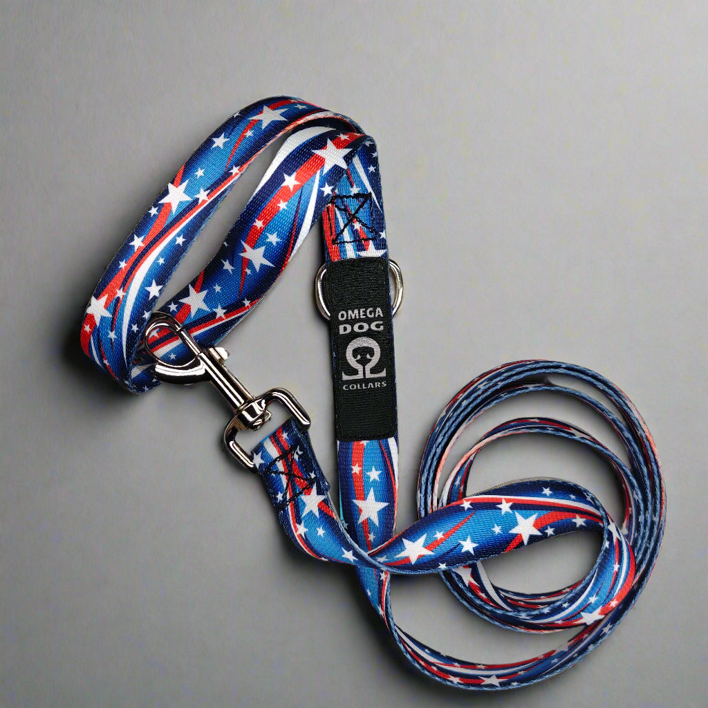 6 foot Leash
