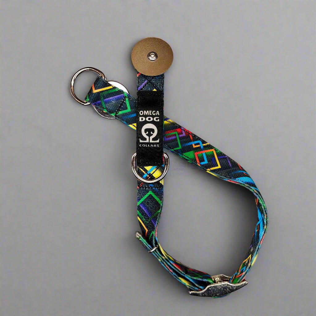 Buckle-V1 Breakaway Collar