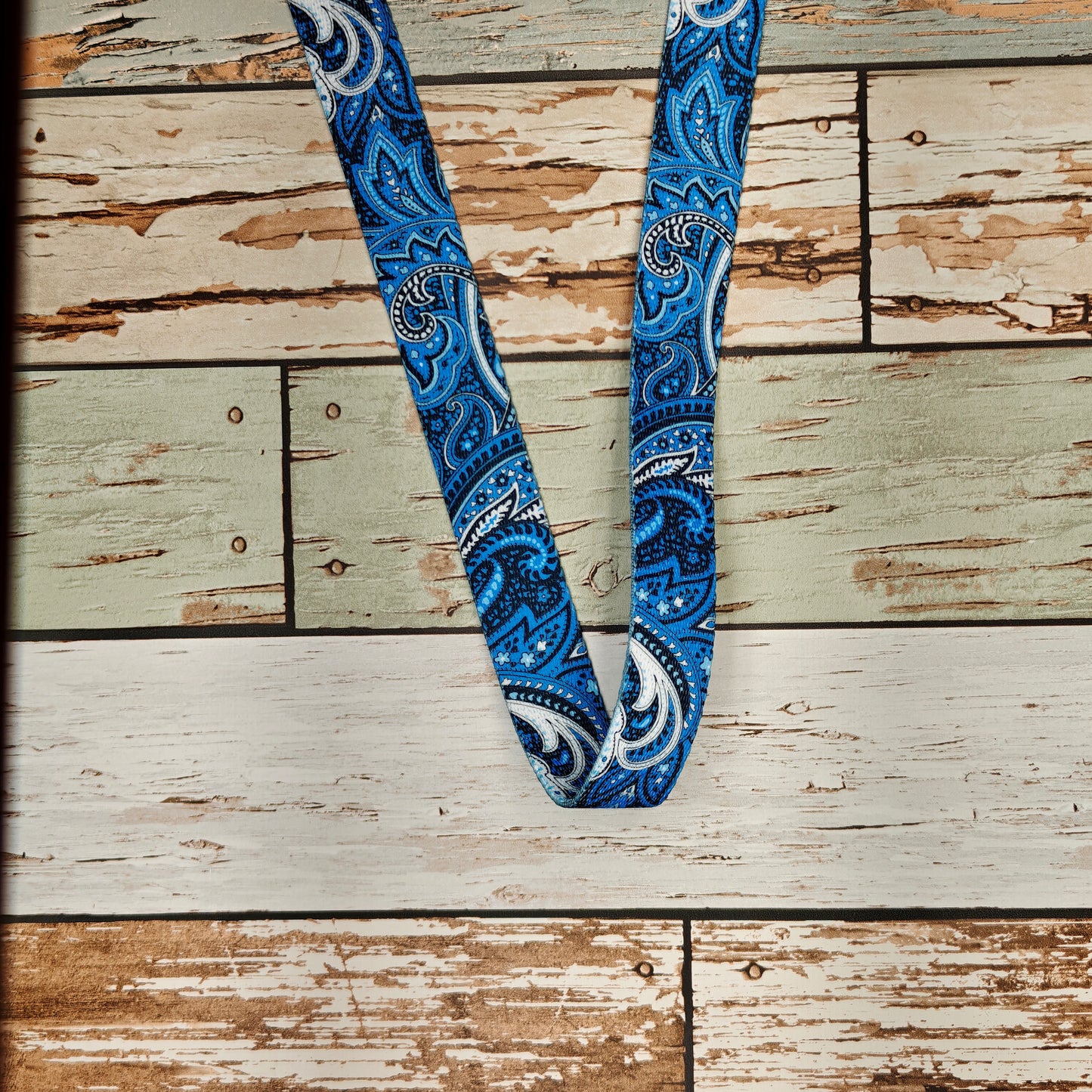 6 foot Leash