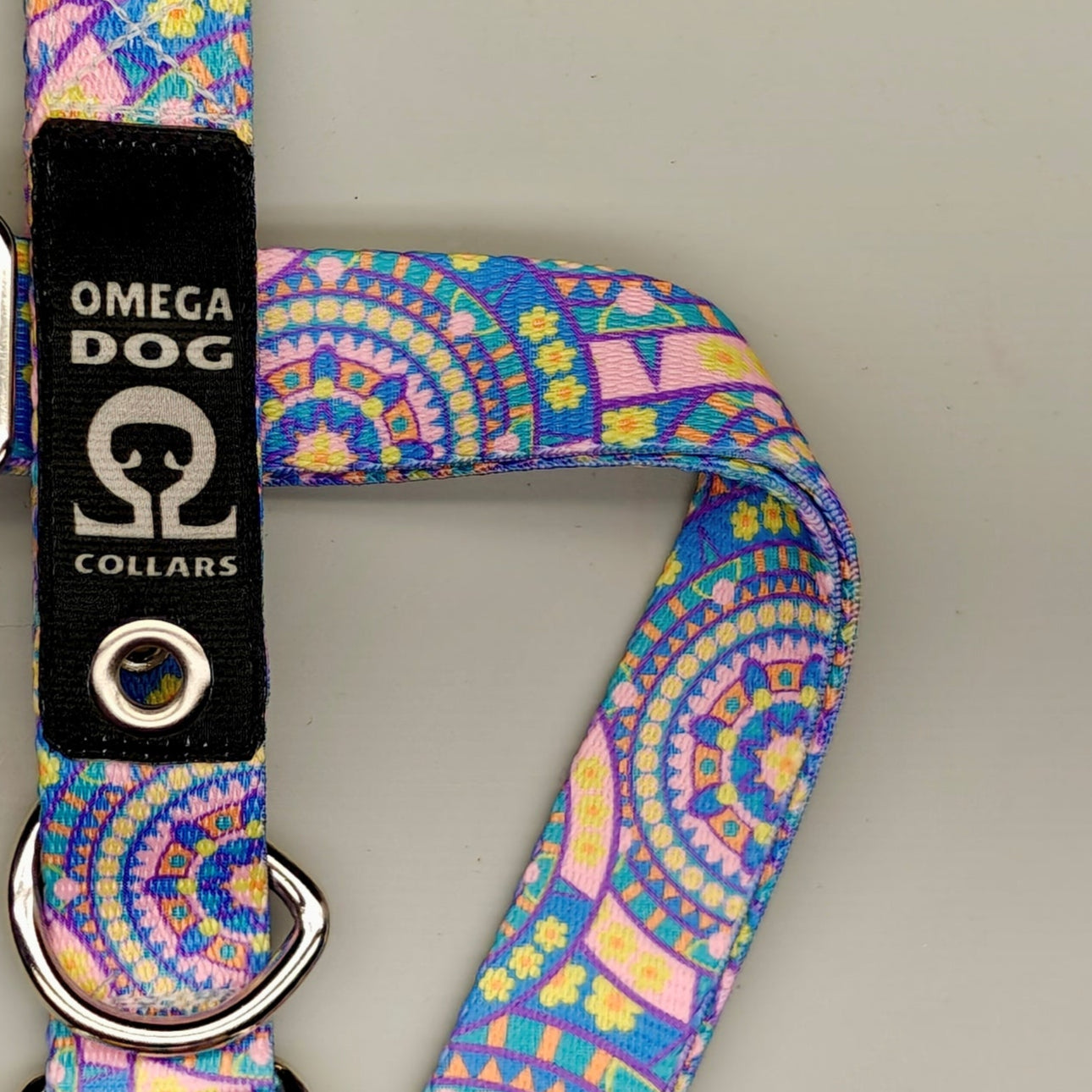 Buckle-V1 Breakaway Collar