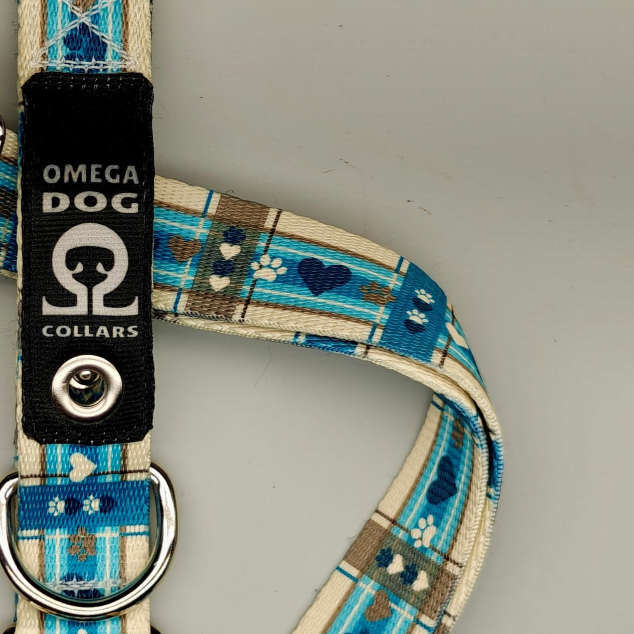 Buckle-V1 Breakaway Collar