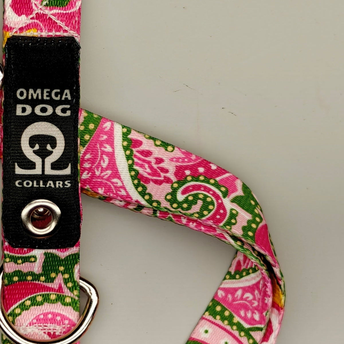 Buckle-V1 Breakaway Collar