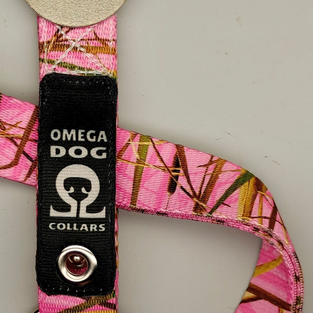 Buckle-V1 Breakaway Collar