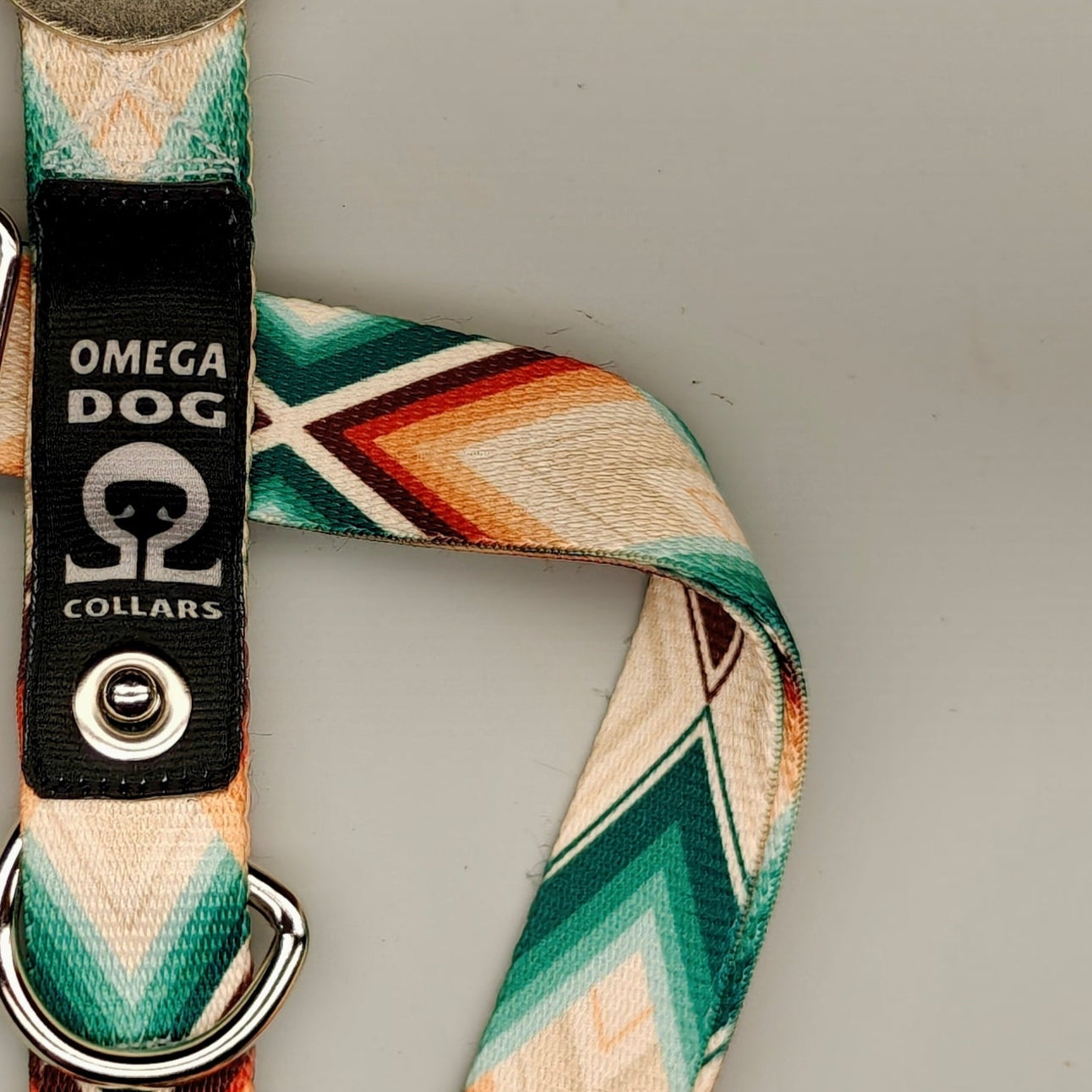 Buckle-V1 Breakaway Collar