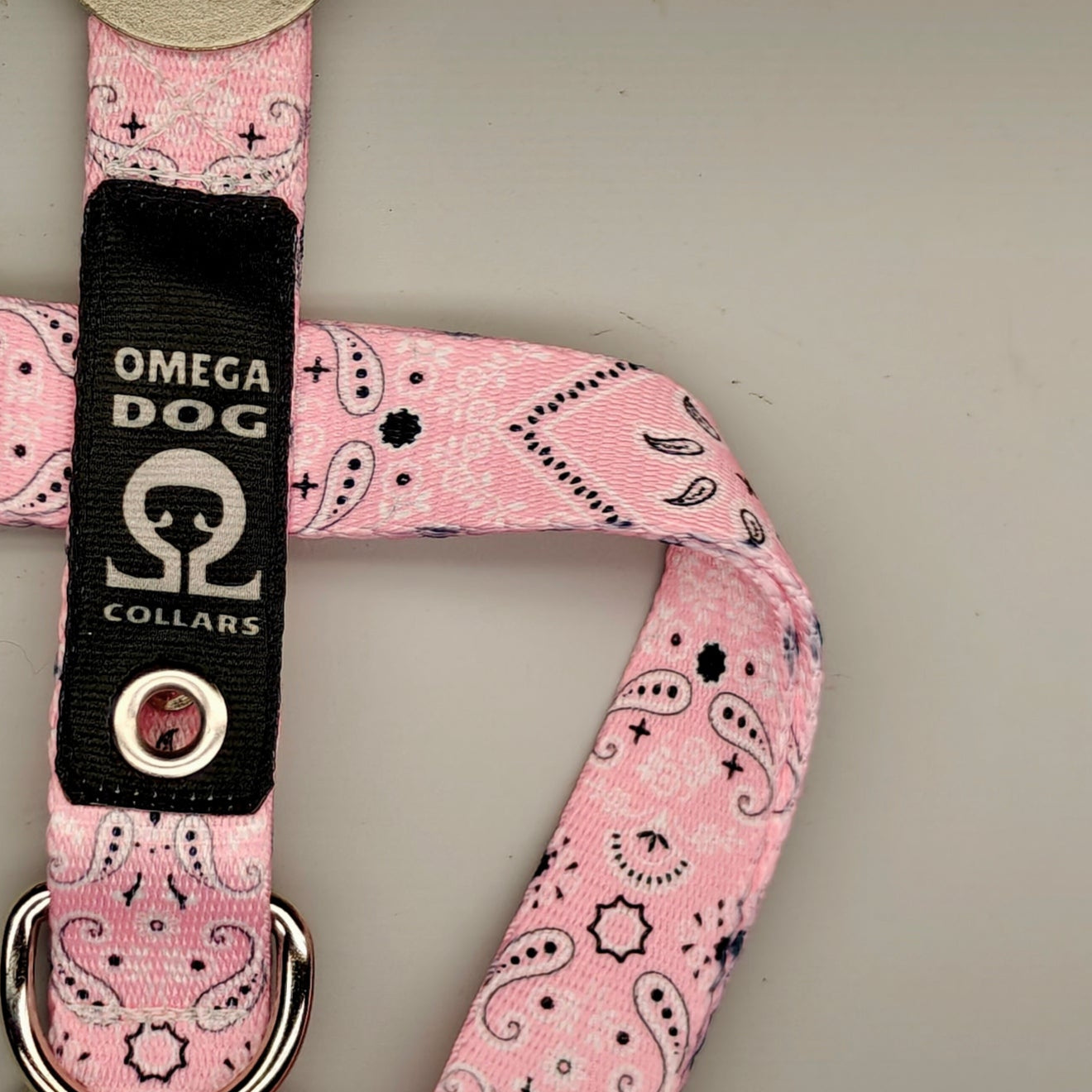 Buckle-V1 Breakaway Collar