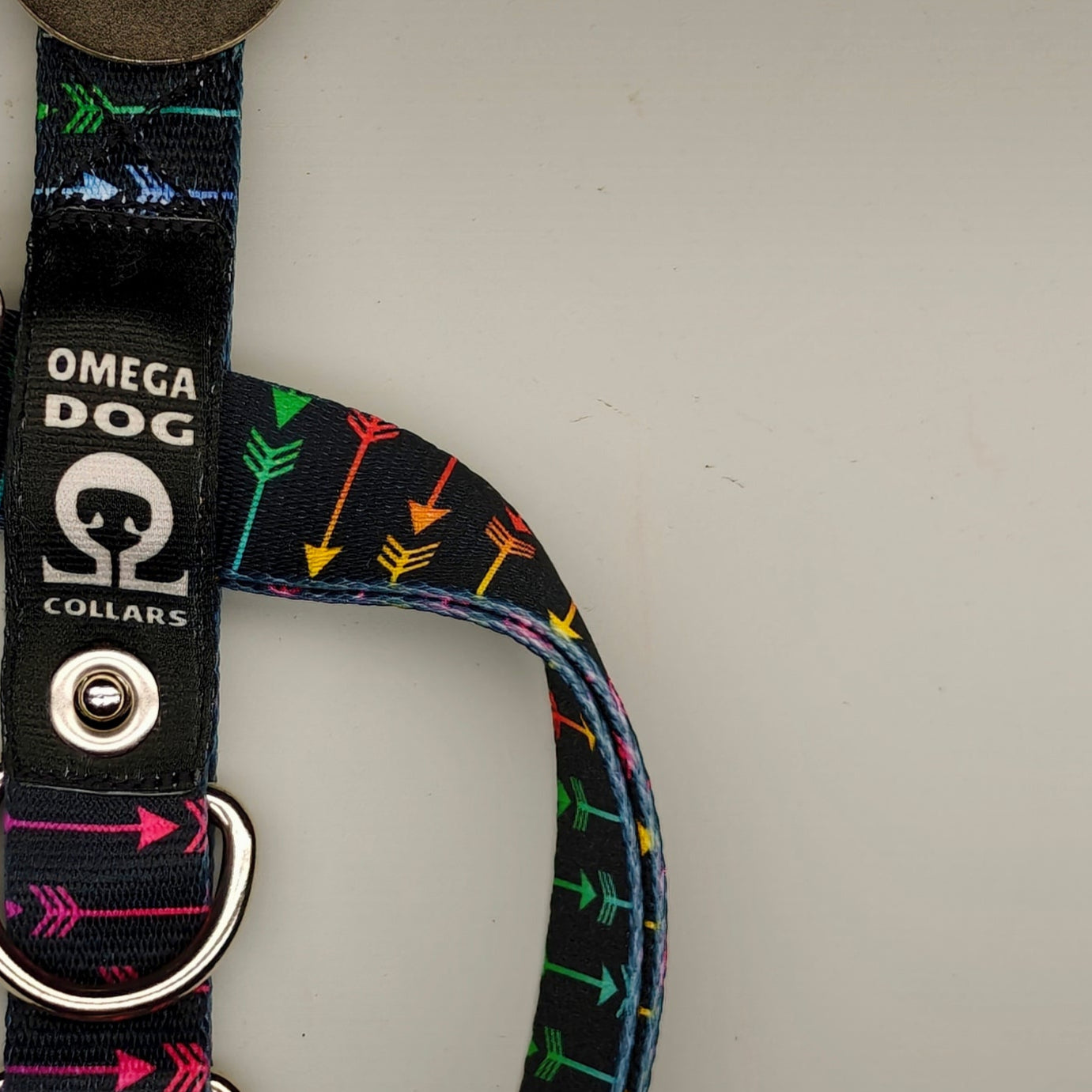 Buckle-V1 Breakaway Collar