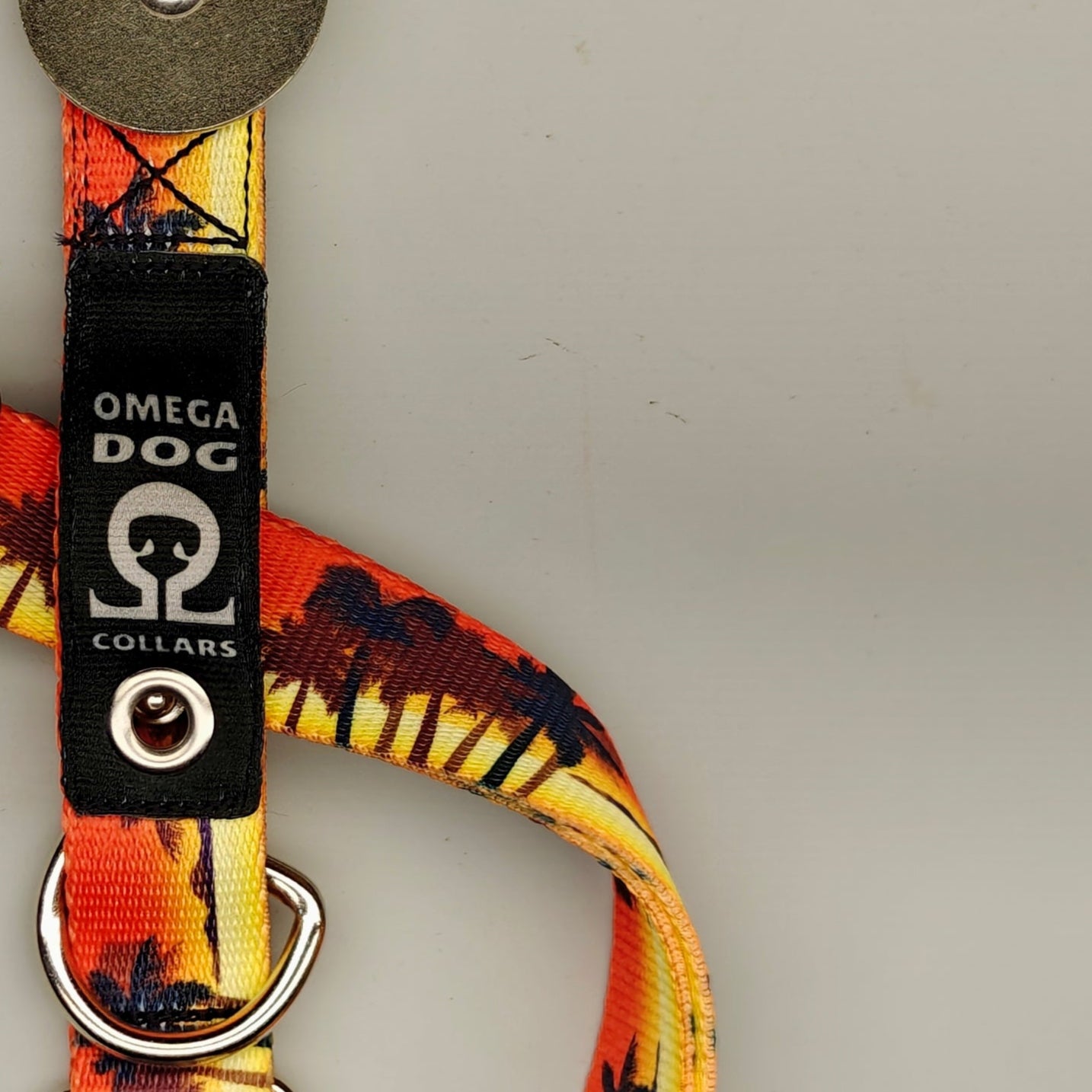 Buckle-V1 Breakaway Collar