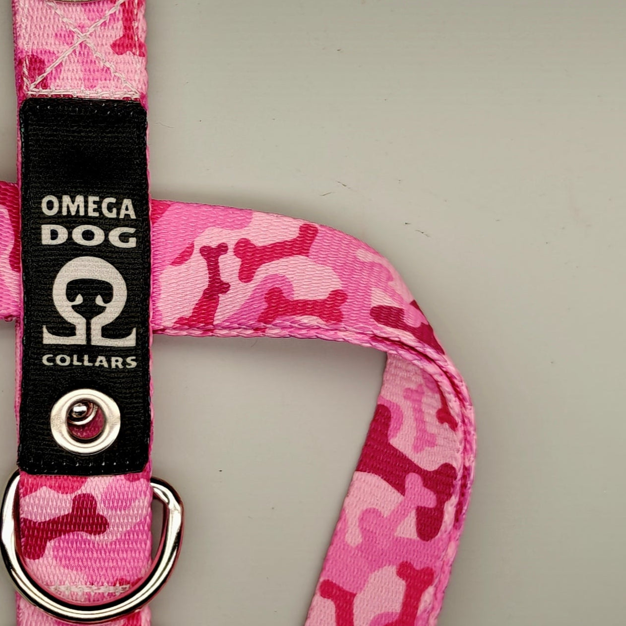 Buckle-V1 Breakaway Collar