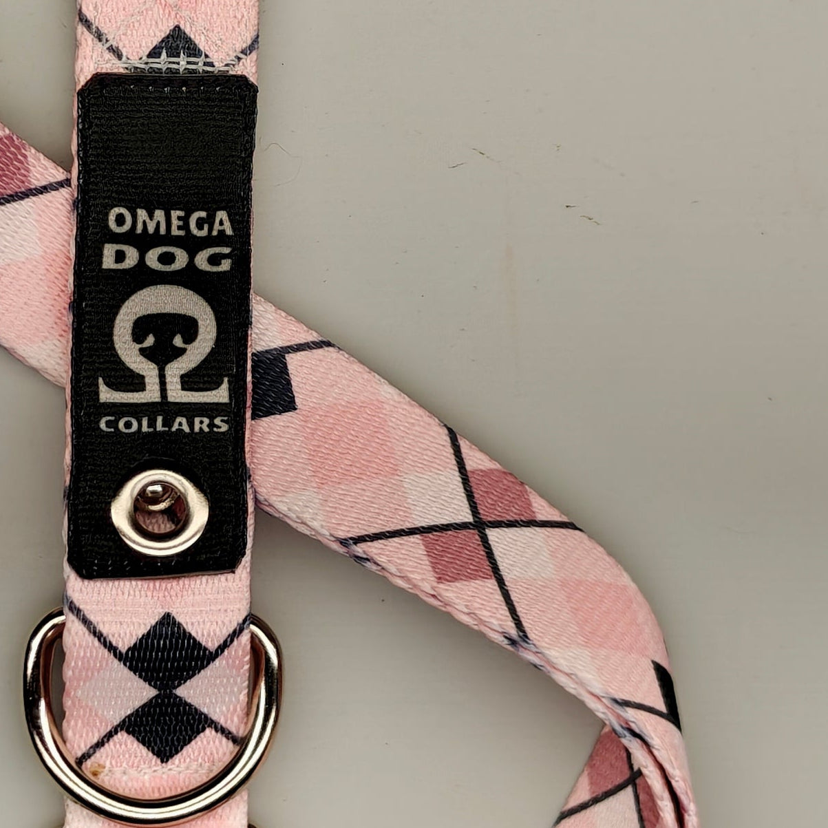 Buckle-V1 Breakaway Collar
