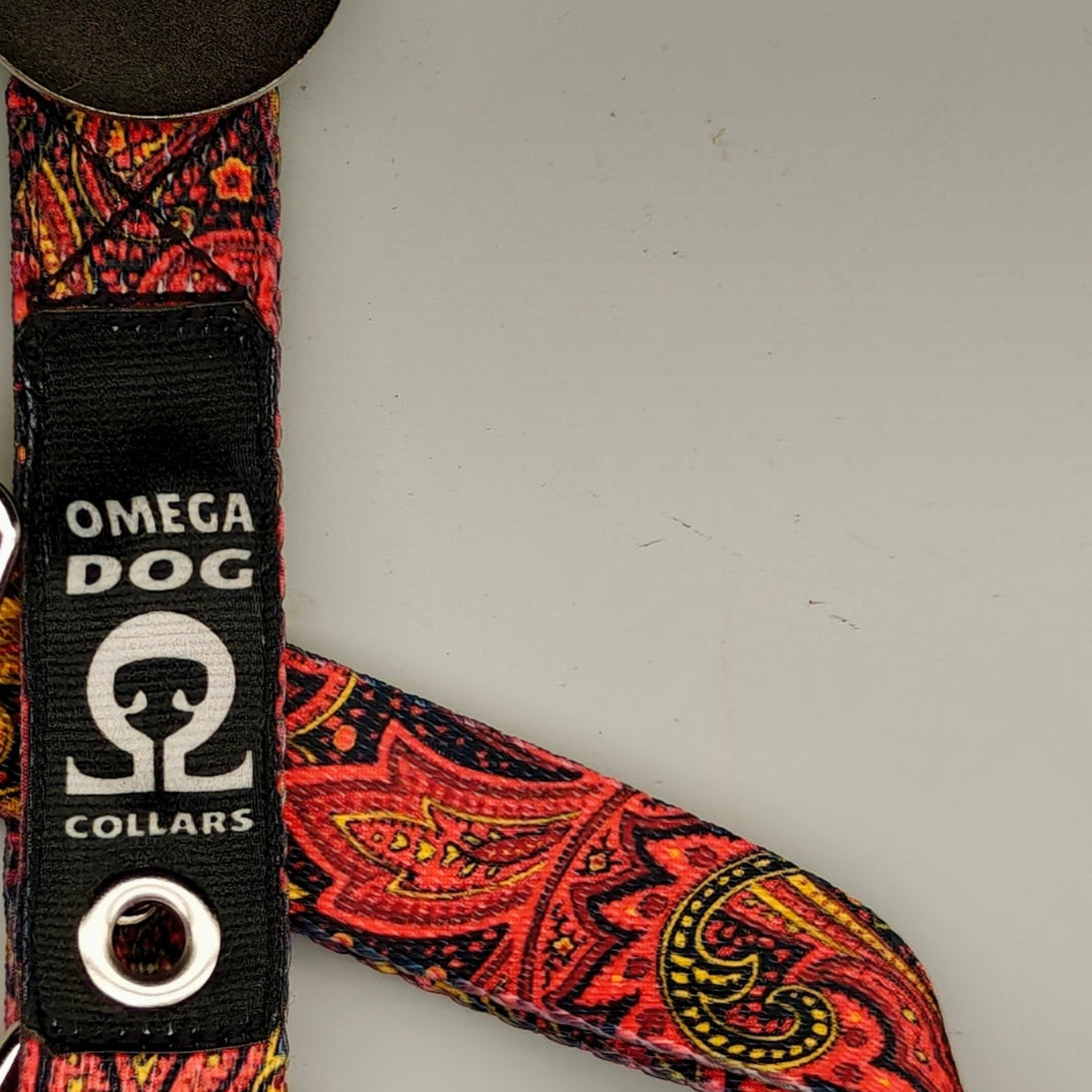 Buckle-V1 Breakaway Collar
