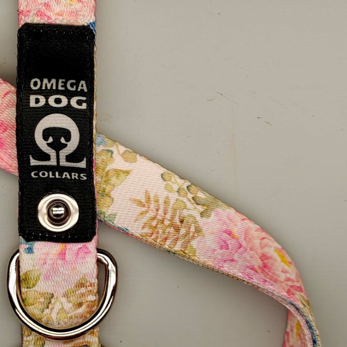 Buckle-V1 Breakaway Collar