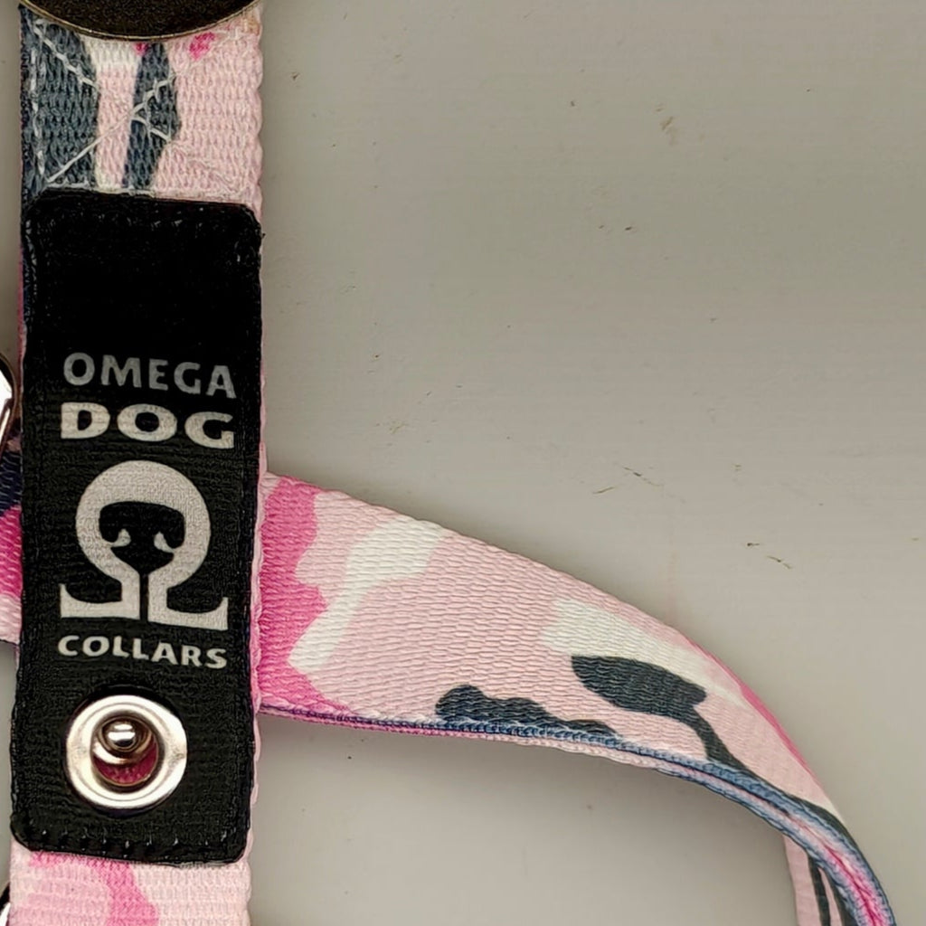 Buckle-V1 Breakaway Collar