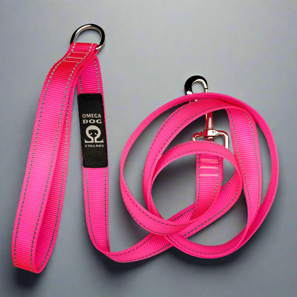 6 foot Leash