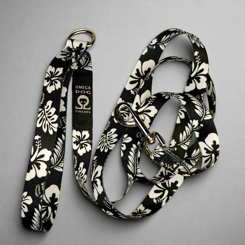 6 foot Leash