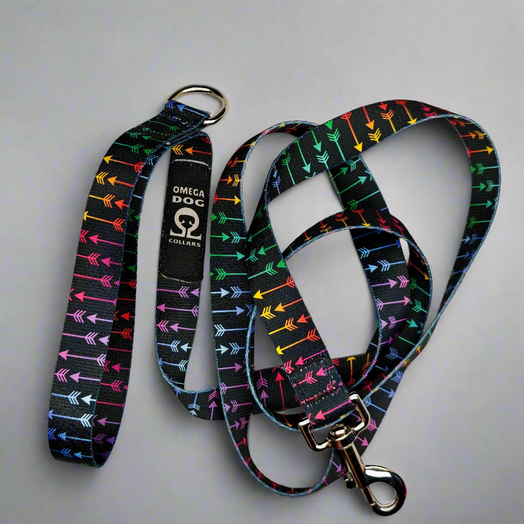 6 foot Leash