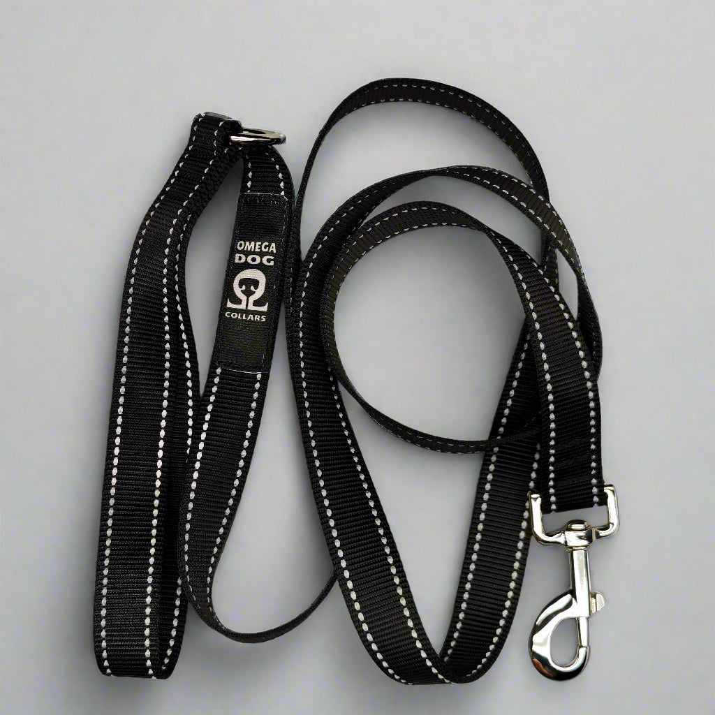 6 foot Leash