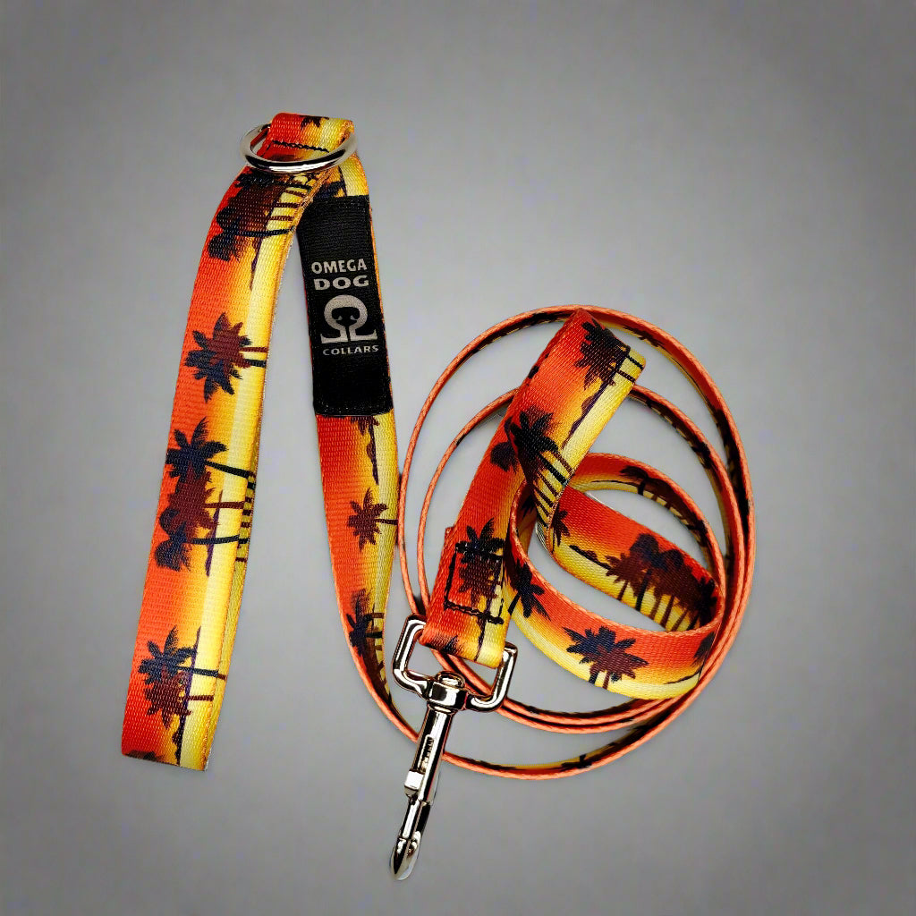 6 foot Leash