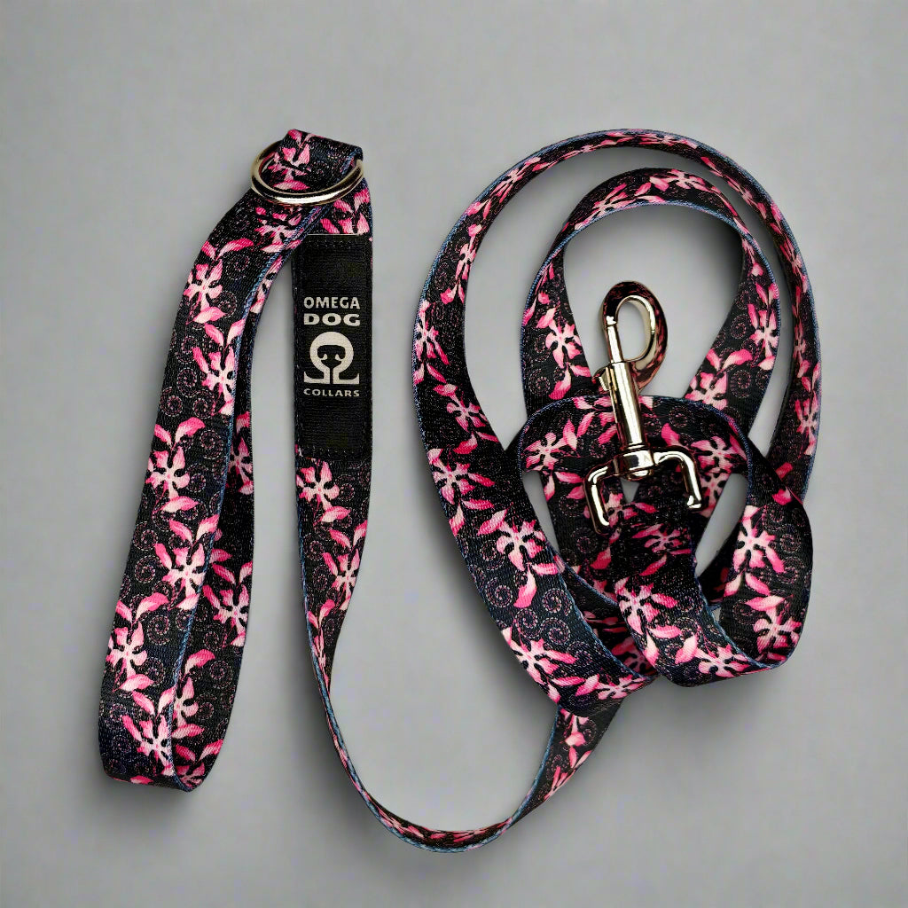 6 foot Leash