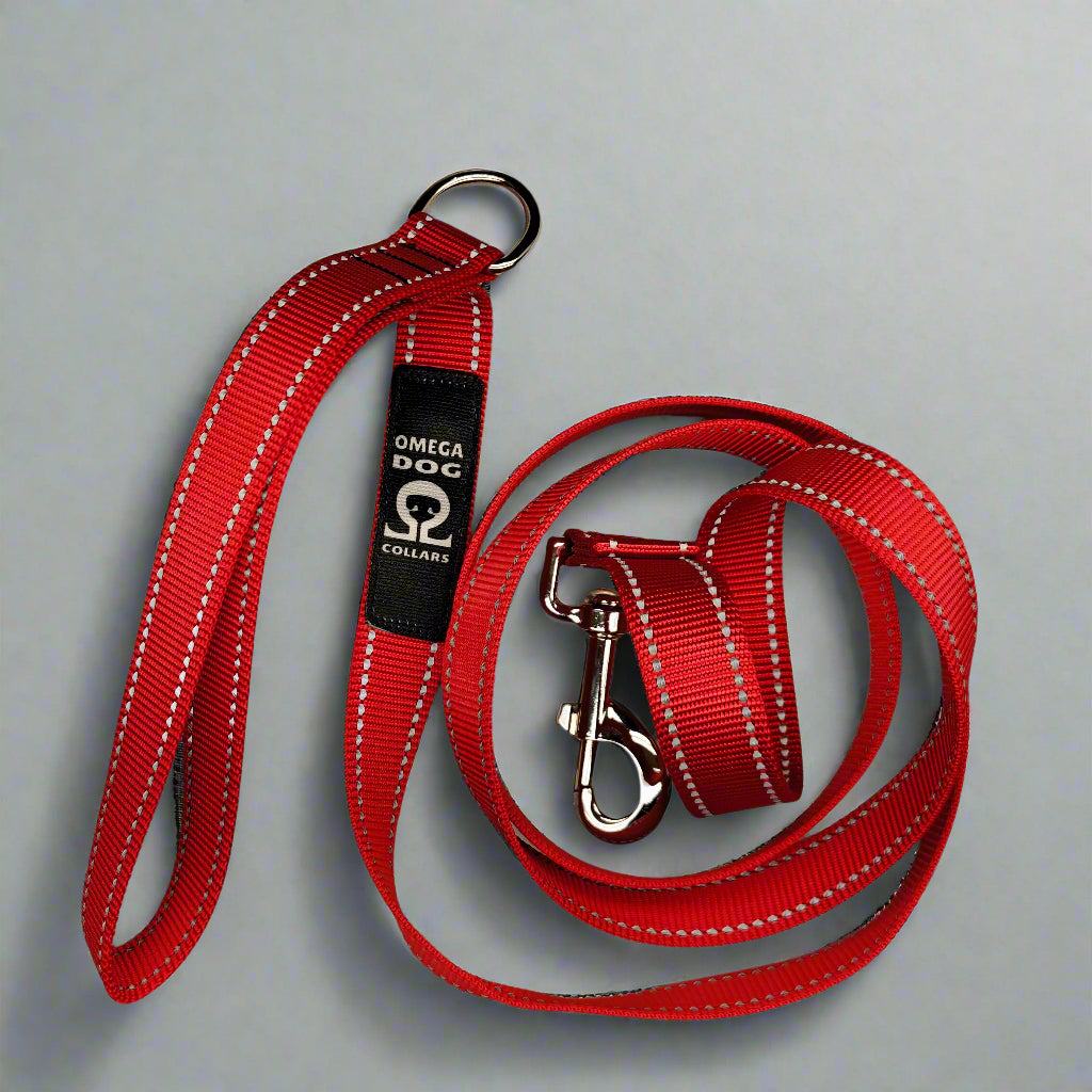 6 foot Leash