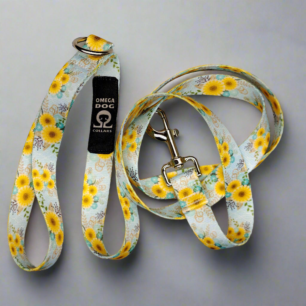 6 foot Leash