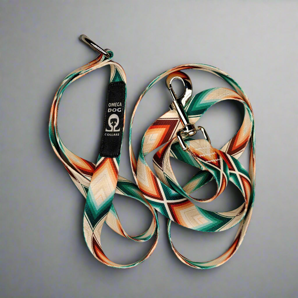 6 foot Leash