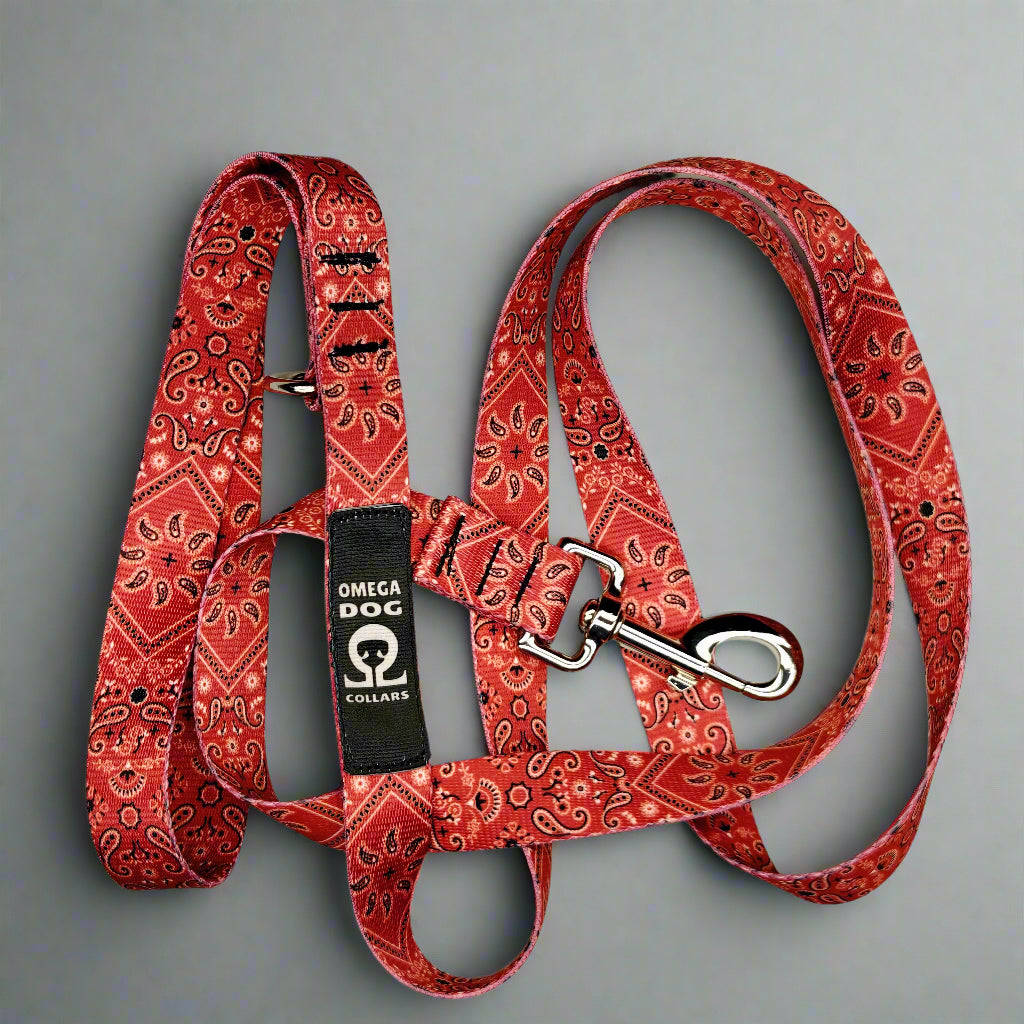 6 foot Leash