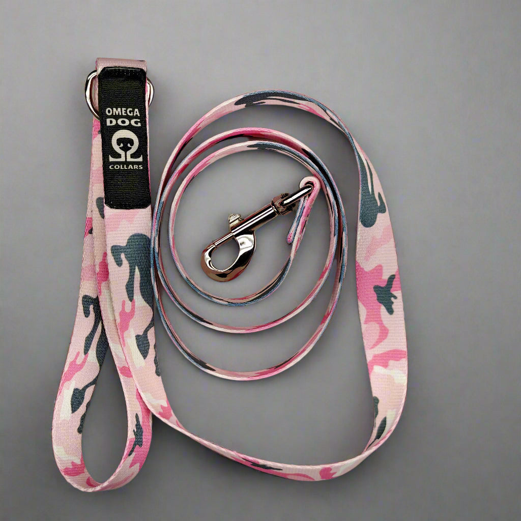 6 foot Leash