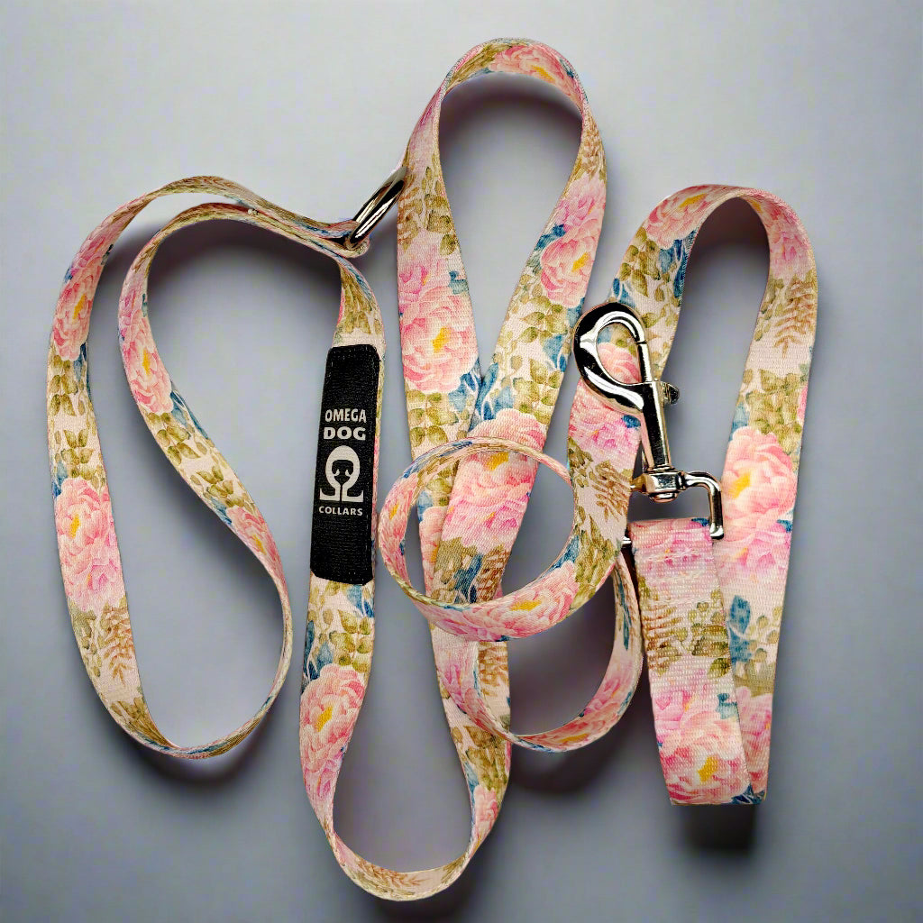 6 foot Leash