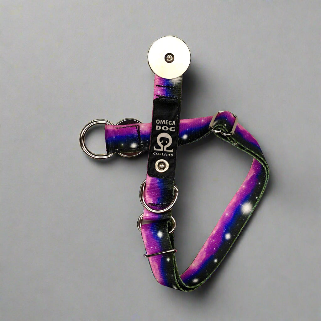 Slide-V1 Breakaway Dog Collar
