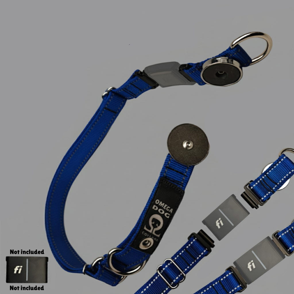 Scout Collar ๐บ๐ธ