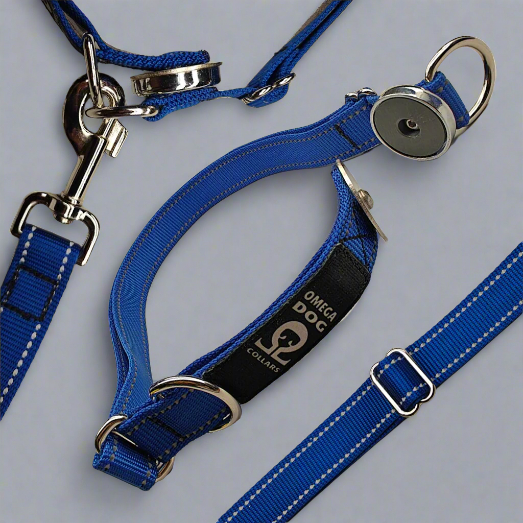 Slide-V1 Breakaway Dog Collar