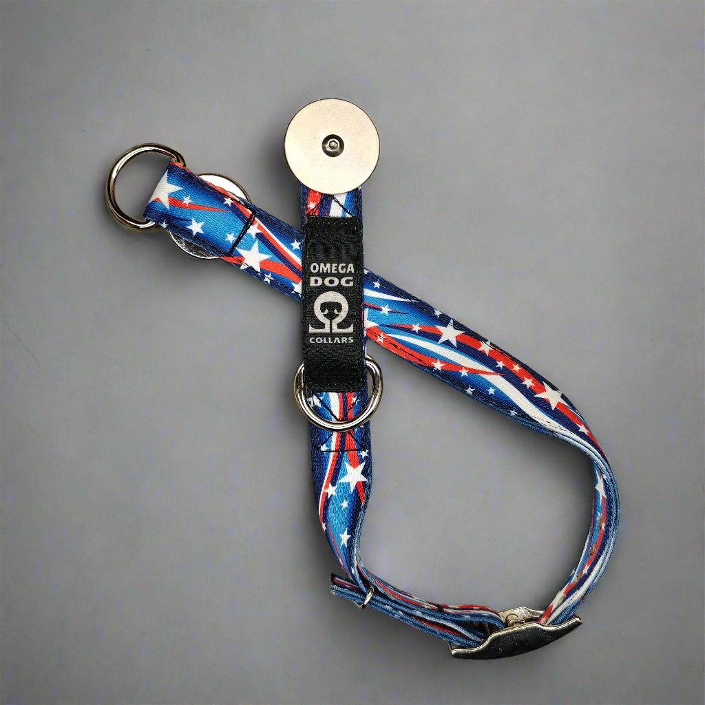 Buckle-V1 Breakaway Collar