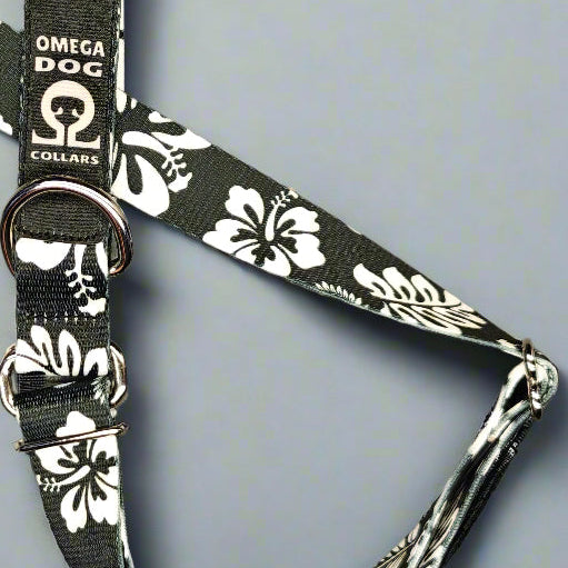 Scout Collar 🇺🇸