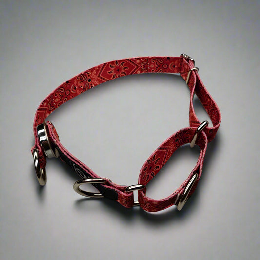 Escape Martingale 🇺🇸