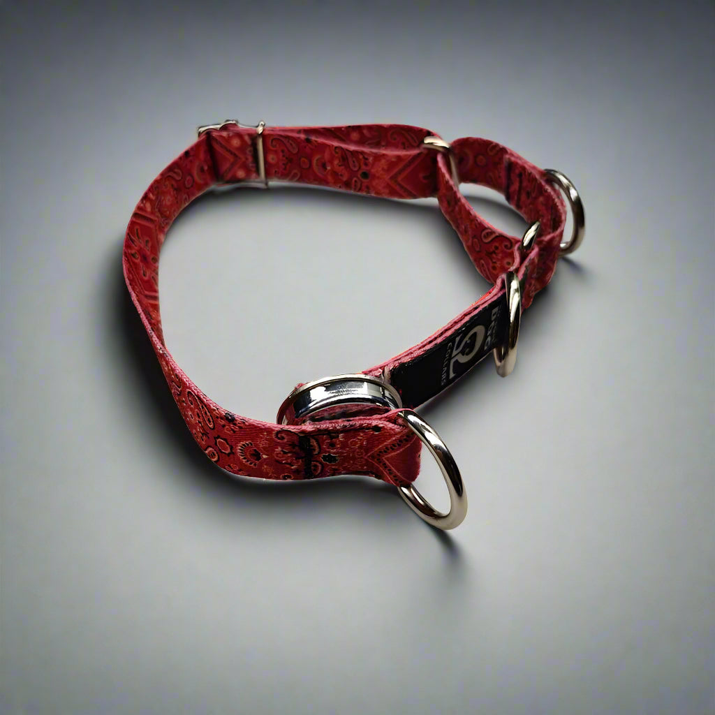 Escape Martingale 🇺🇸