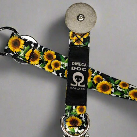 Buckle-V1 Breakaway Collar