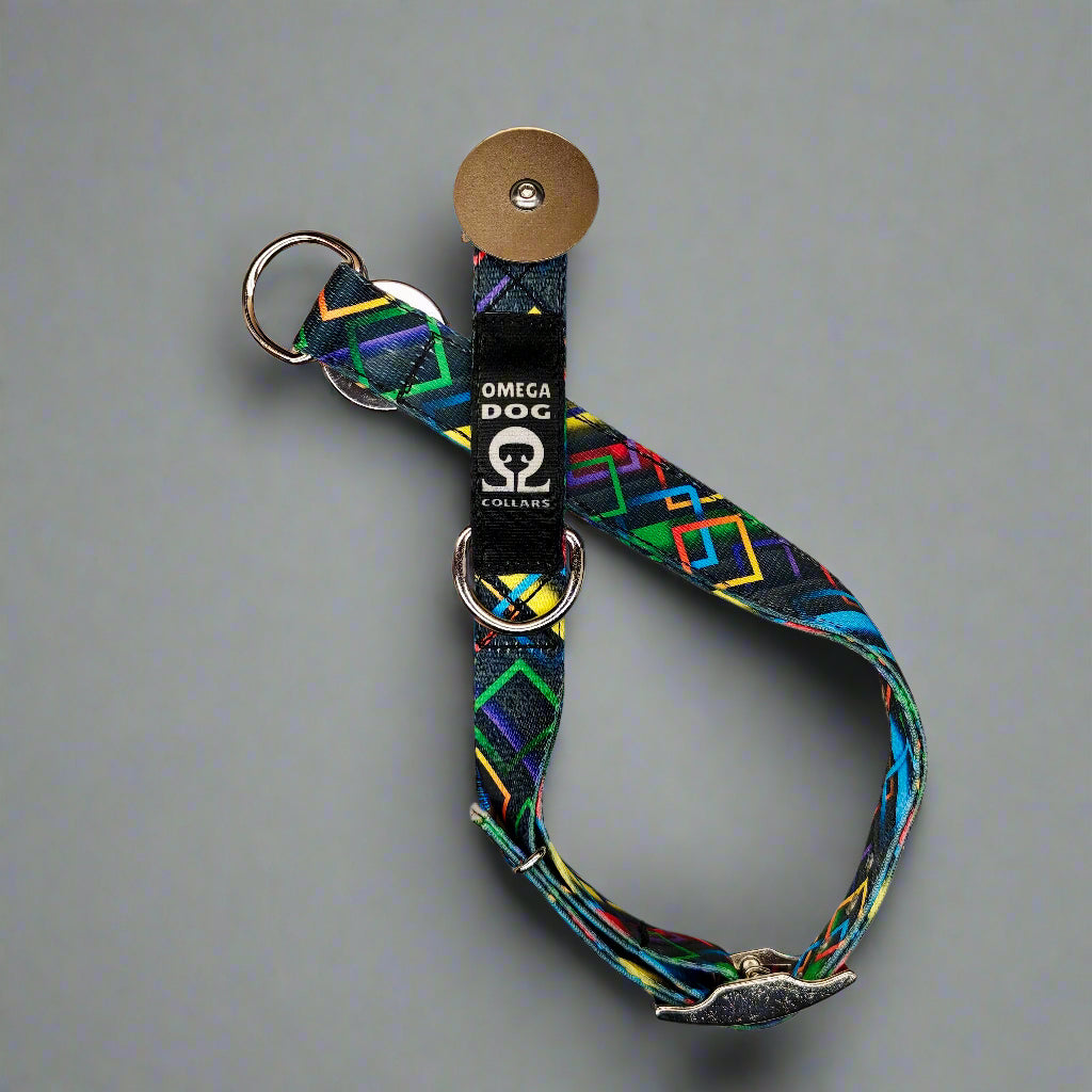 Buckle-V1 Breakaway Collar