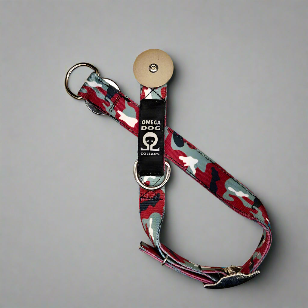 Buckle-V1 Breakaway Collar
