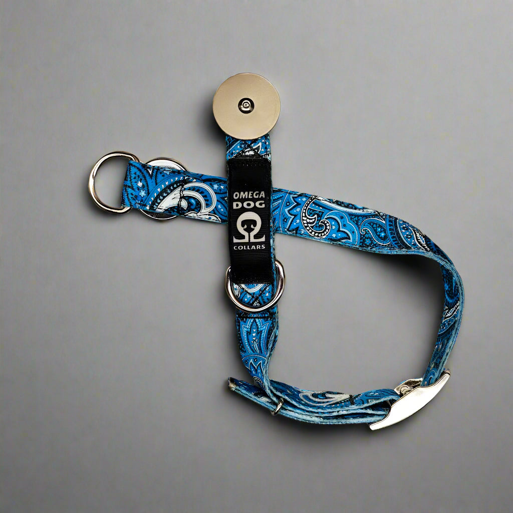 Buckle-V1 Breakaway Collar