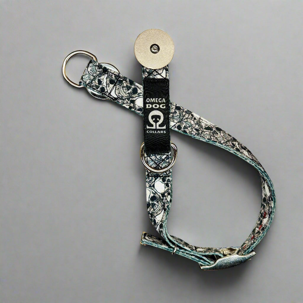 Buckle-V1 Breakaway Collar