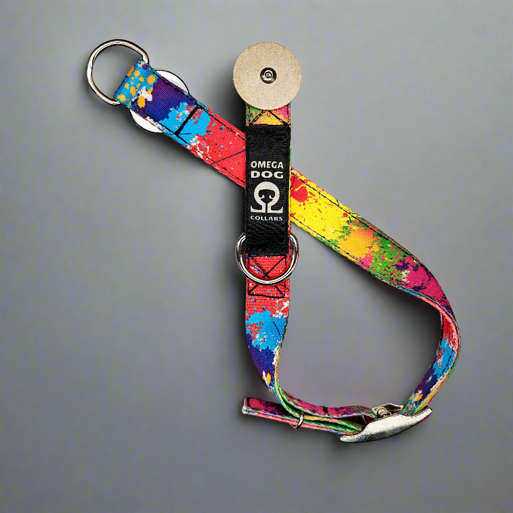 Buckle-V1 Breakaway Collar
