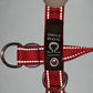 Buckle-V1 Breakaway Collar
