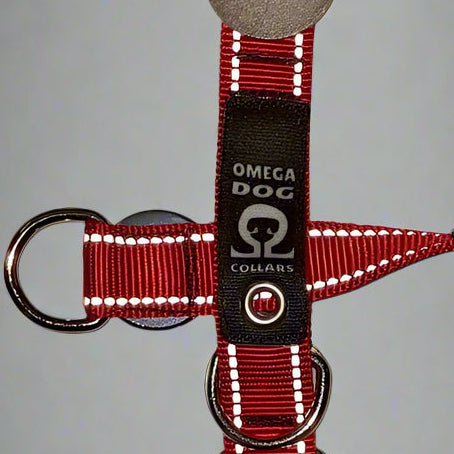 Buckle-V1 Breakaway Collar