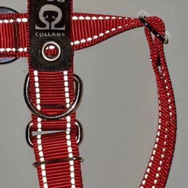 Scout Collar 🇺🇸