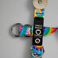 Buckle-V1 Breakaway Collar