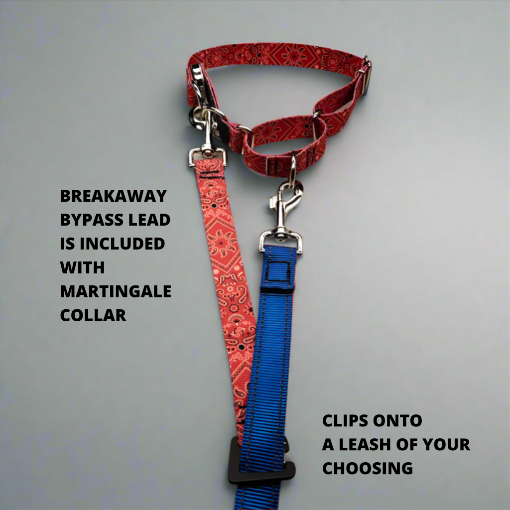 Escape Martingale 🇺🇸