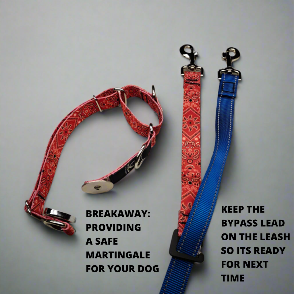 Escape Martingale 🇺🇸