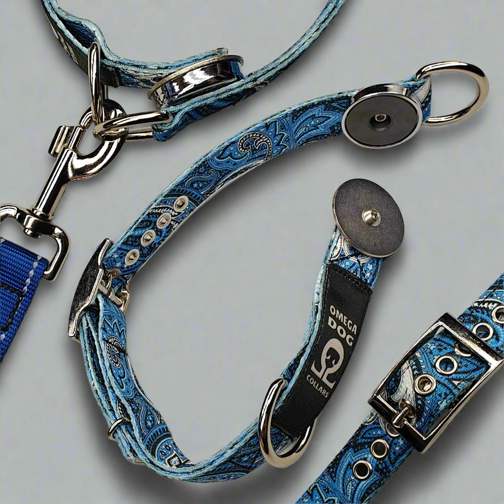 Buckle-V1 Breakaway Collar